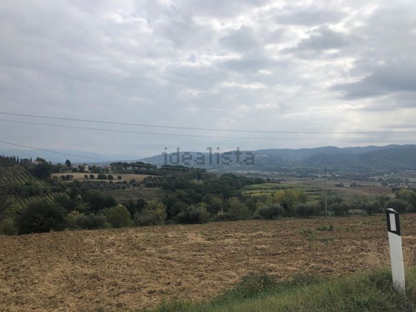 terreno edificabile in vendita a Torgiano in zona Brufa