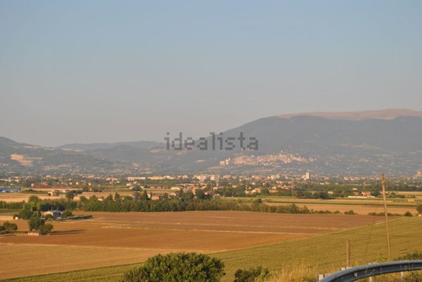 casa indipendente in vendita a Torgiano in zona Brufa
