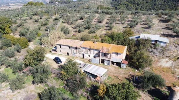 pentavano in vendita a Torgiano