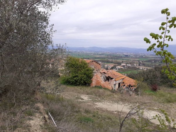 casa indipendente in vendita a Torgiano in zona Signoria