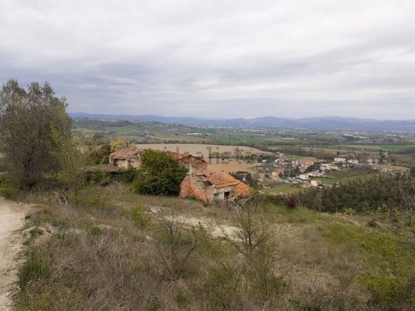 quadrivano in vendita a Torgiano in zona Signoria