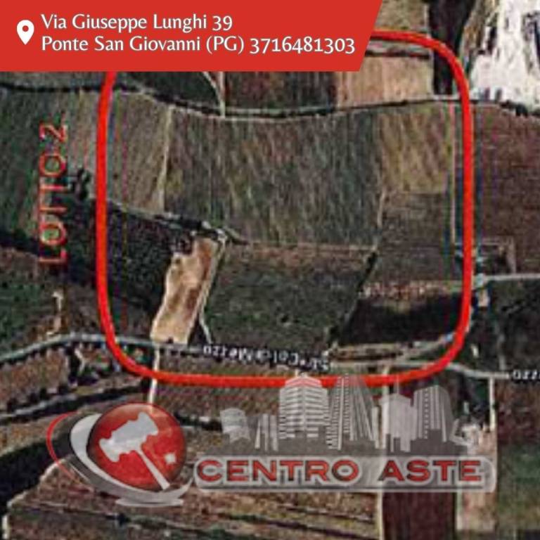 casa indipendente in vendita a Torgiano