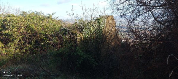 quadrivano in vendita a Torgiano