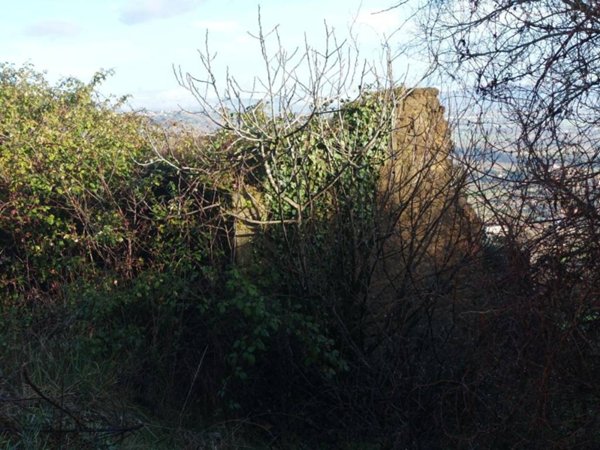 casa indipendente in vendita a Torgiano