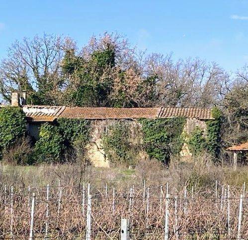 casa indipendente in vendita a Torgiano