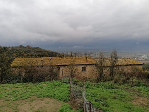 pentavano in vendita a Torgiano