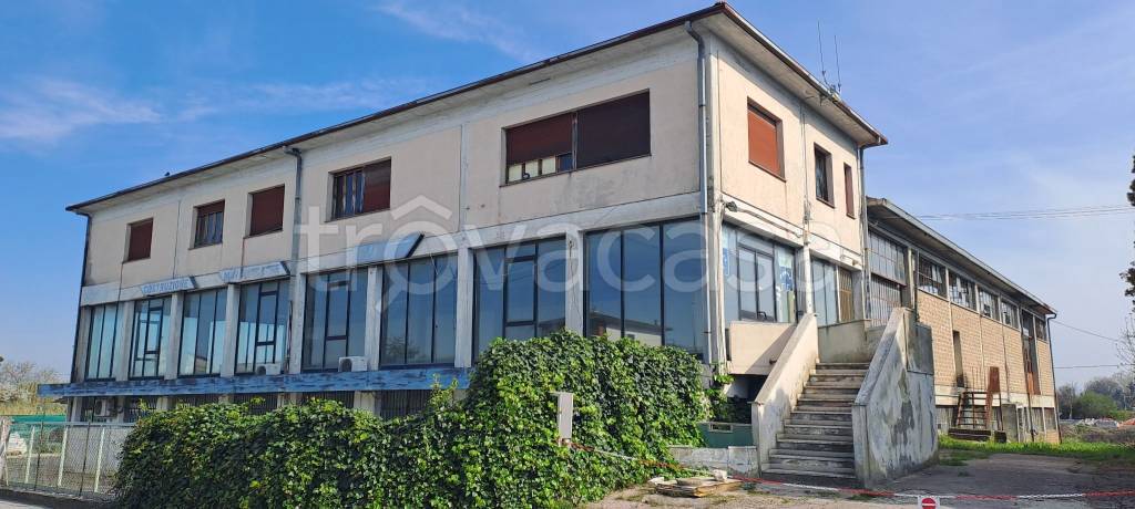 terreno edificabile in vendita a Torgiano in zona Fornaci