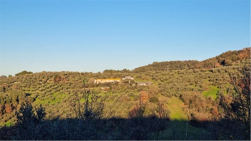 casale in vendita a Torgiano