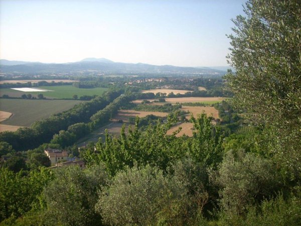 casa indipendente in vendita a Torgiano in zona Pontenuovo