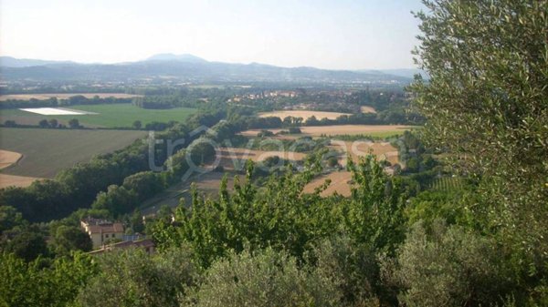 casa indipendente in vendita a Torgiano in zona Pontenuovo