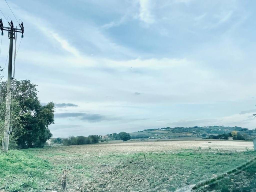 terreno edificabile in vendita a Torgiano