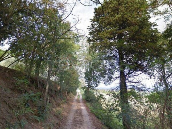 terreno agricolo in vendita a Torgiano in zona Miralduolo