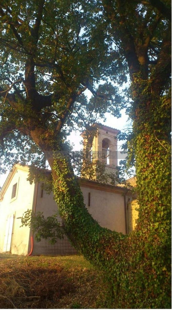pentavano in vendita a Torgiano in zona Miralduolo