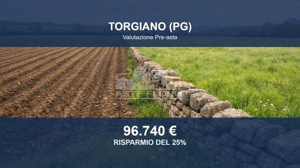 terreno agricolo in vendita a Torgiano in zona Brufa