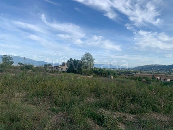 terreno in vendita a Torgiano in zona Brufa
