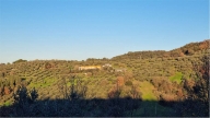 casa indipendente in vendita a Torgiano