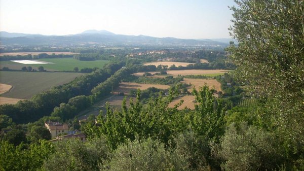 casa indipendente in vendita a Torgiano