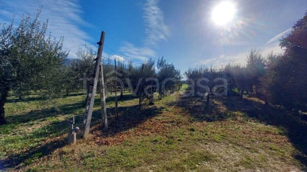 terreno agricolo in vendita a Trevi