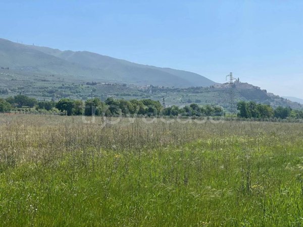 terreno agricolo in vendita a Trevi