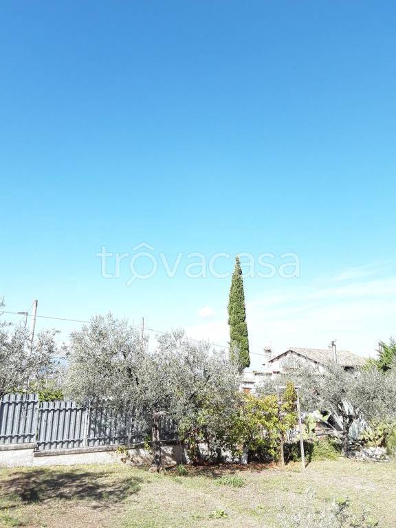 terreno agricolo in vendita a Trevi