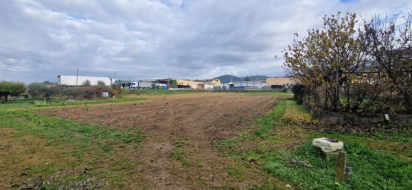 terreno agricolo in vendita a Trevi