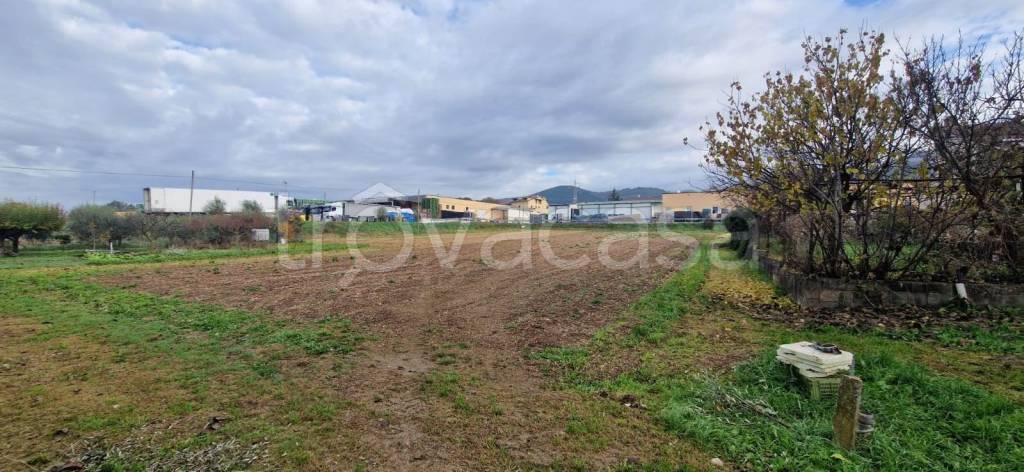 terreno agricolo in vendita a Trevi