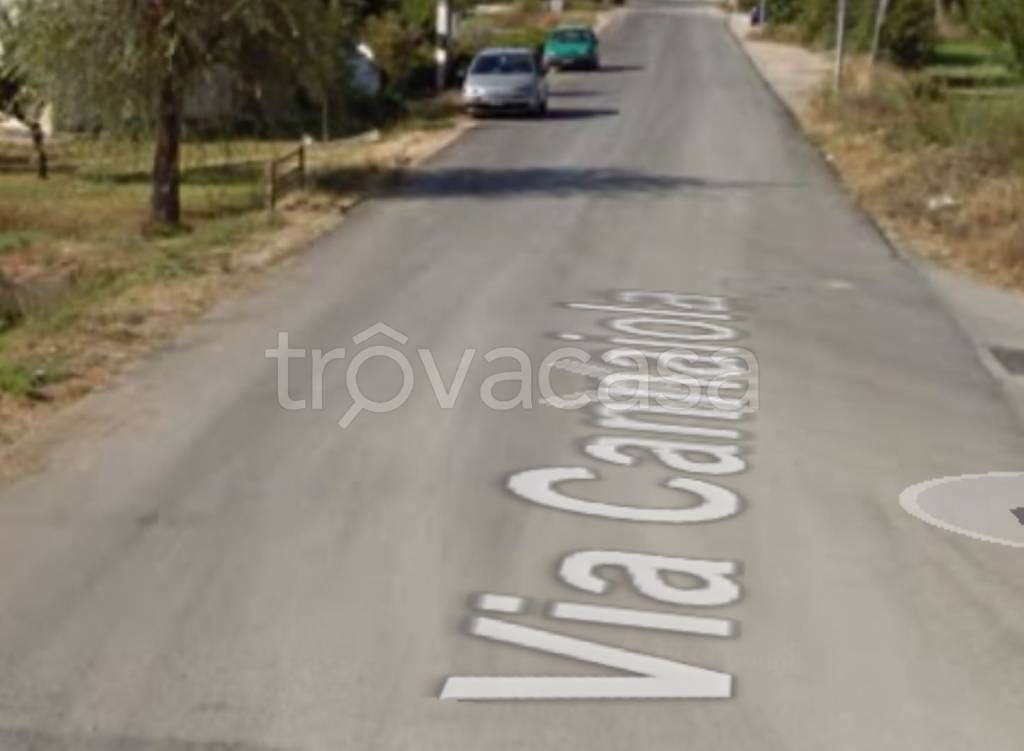 terreno agricolo in vendita a Trevi in zona Cannaiola
