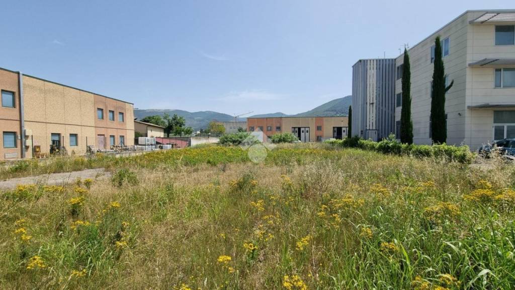 terreno agricolo in vendita a Trevi
