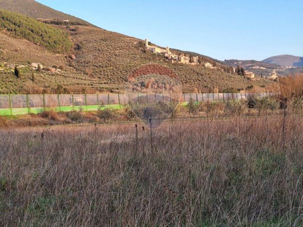 terreno agricolo in vendita a Trevi