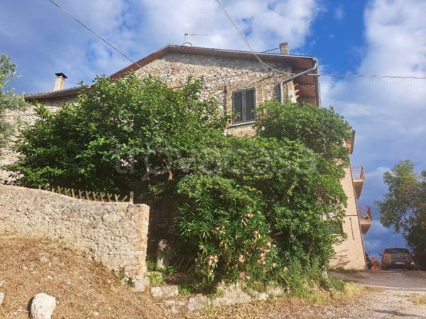 immagine annuncio 0 di 15