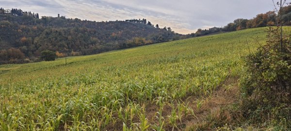 terreno agricolo in vendita a Trevi