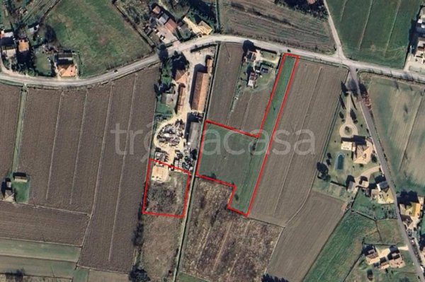 terreno agricolo in vendita a Trevi in zona Cannaiola