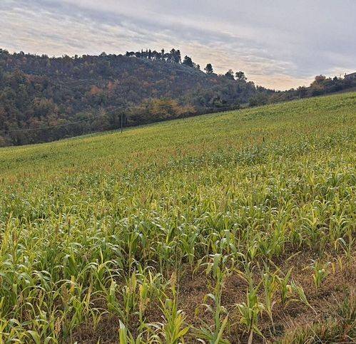 terreno agricolo in vendita a Trevi