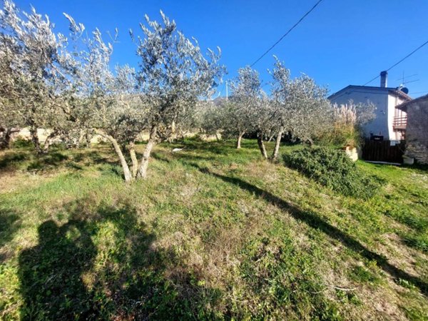 terreno agricolo in vendita a Trevi
