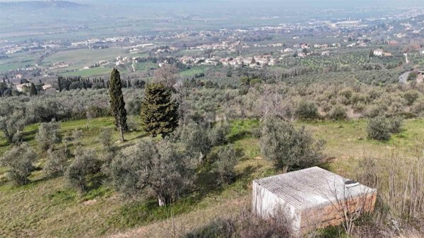 terreno agricolo in vendita a Trevi