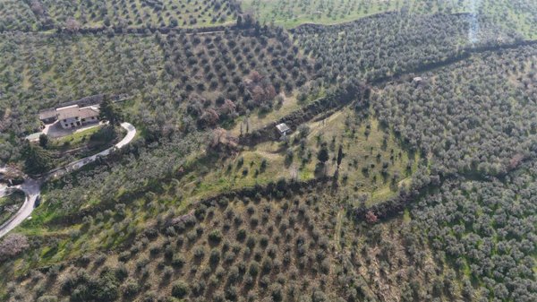 terreno agricolo in vendita a Trevi