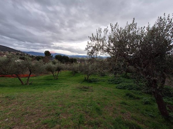 terreno agricolo in vendita a Trevi in zona Bovara