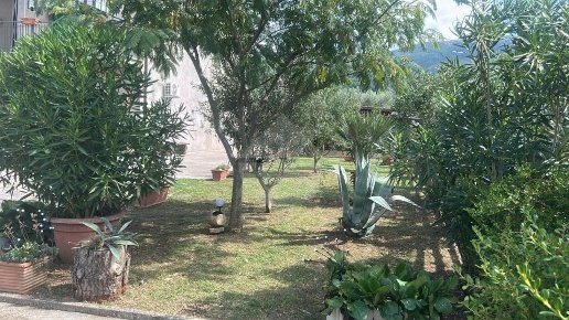 appartamento in vendita a Trevi