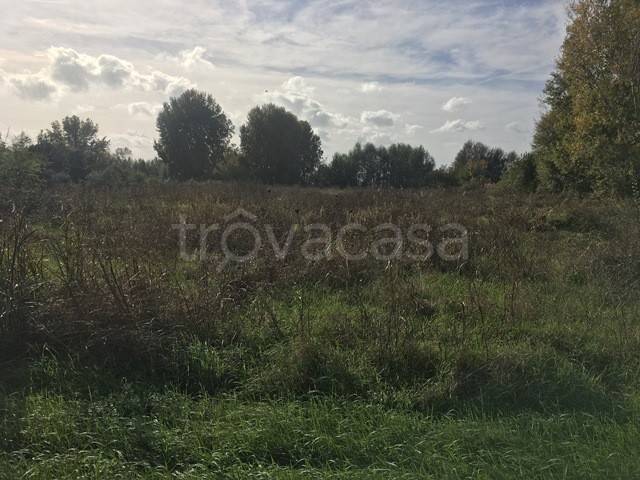 terreno agricolo in vendita a Tuoro sul Trasimeno