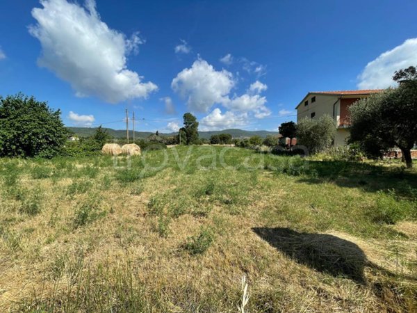 terreno agricolo in vendita a Tuoro sul Trasimeno