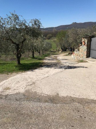 appartamento in vendita a Tuoro sul Trasimeno