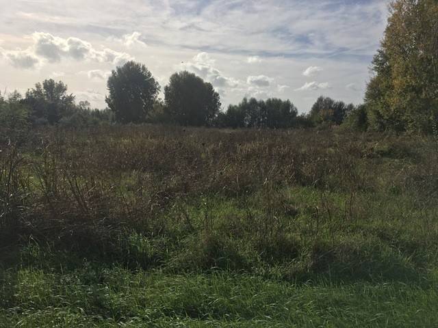 terreno agricolo in vendita a Tuoro sul Trasimeno