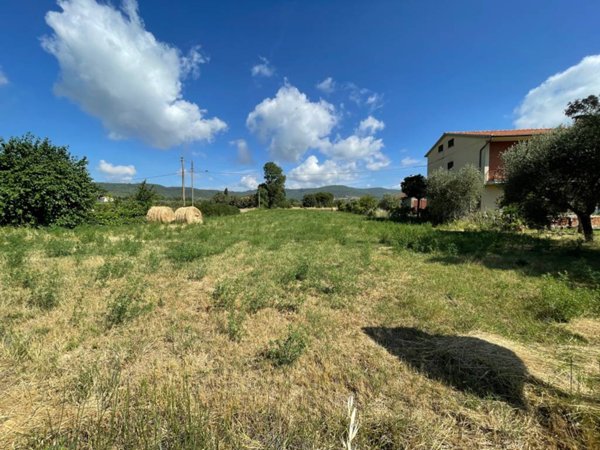 terreno agricolo in vendita a Tuoro sul Trasimeno