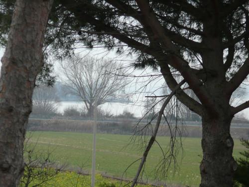 casa indipendente in vendita a Tuoro sul Trasimeno