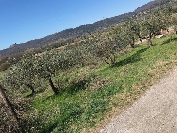 appartamento in vendita a Tuoro sul Trasimeno