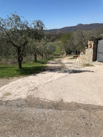 appartamento in vendita a Tuoro sul Trasimeno