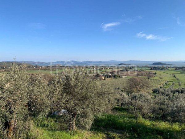 terreno agricolo in vendita a Tuoro sul Trasimeno in zona Vernazzano