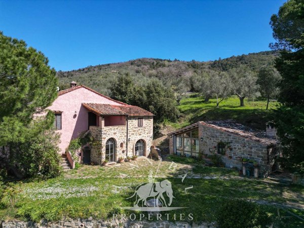 esavano in vendita a Tuoro sul Trasimeno