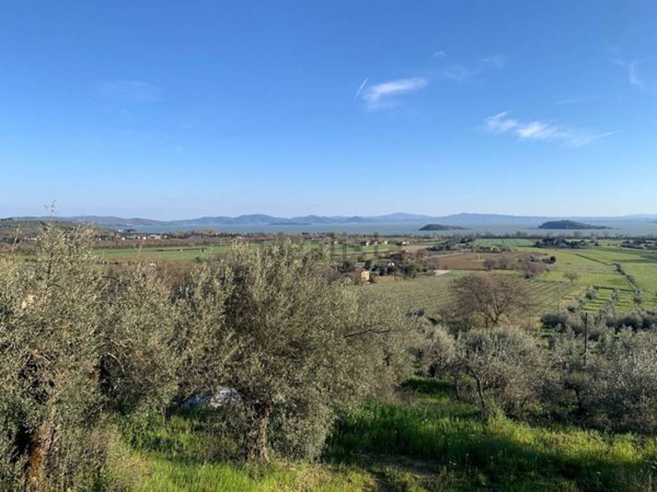 terreno agricolo in vendita a Tuoro sul Trasimeno in zona Vernazzano