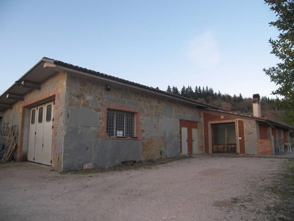 azienda agricola in vendita a Tuoro sul Trasimeno